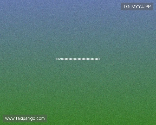 开云KY真人版全站登录实现世界杯期间全站内容无缝切换与多角度赛事分析